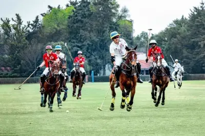 Éxito Total en la Séptima Edición de la Copa Ribera del Duero 2026