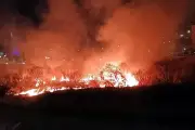 Alarma por incendio forestal en el lecho del Río Bravo, afecta a Nuevo León