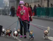 Alerta Amarilla por frío intenso en CDMX: tres alcaldías en riesgo este miércoles