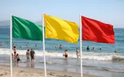 Banderas en Playas Mexicanas: Código de Colores que Salva Vidas en Temporada Vacacional