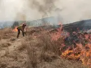 Bomberos combaten incendio forestal en cerro de La Castellana en Tlalnepantla