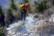 Bomberos y brigadistas combaten intenso incendio forestal en el Altiplano Tamaulipeco