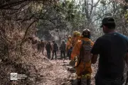 Brigada Voluntaria de Malinalco Combate Incendios Forestales con Esfuerzo Comunitario