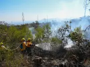 Brigadas forestales se preparan en CDMX ante temporada de alto riesgo de incendios