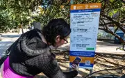 Cambio de App de Parquímetro en Guadalajara Genera Confusión y Críticas en Usuarios