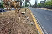 Corredor en Aramberri, Nuevo León, es abandonado por autoridades locales