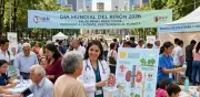 Día Mundial del Riñón 2026: Conmemoración, Síntomas Silenciosos y Prevención