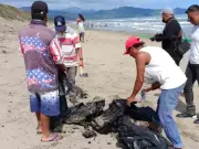 Derrame de hidrocarburo en Veracruz y Tabasco: 630 km de litoral afectado tras tres semanas