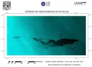 Derrame de Pemex en el Golfo inició en febrero según ONGs; empresa insiste en chapopoteras