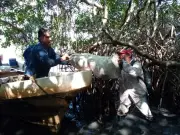 Derrame de petróleo alcanza 630 km en Golfo de México, afectando fauna y comunidades