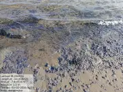 Derrame petrolero afecta 17 sitios en Veracruz y Tabasco; comunidades exigen acción inmediata