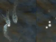 Descubren el sistema estelar cuádruple más compacto del universo conocido