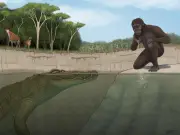 Descubren en Etiopía al 'Cazador de Lucy', un feroz cocodrilo que amenazaba a los primeros homínidos