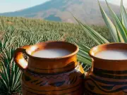 El Pulque de Tlaxcala obtiene Indicación Geográfica Protegida como tesoro nacional