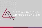 Ex mando de la SNA demanda pago de 4 millones de pesos por despido injustificado