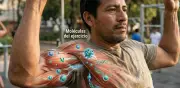 Exerquinas: Las moléculas del ejercicio que actúan como farmacia interna del cuerpo