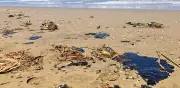 Exigen cierre de playas en Veracruz por contaminación con hidrocarburos que causa manchas en piel