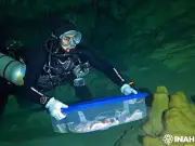 Fósiles humanos de 10 mil años en Quintana Roo llegan a CDMX para análisis bioarqueológicos