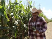 Gobierno del Edomex lanza PROMAÍZ con incentivos para productores de maíz