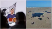 Gobierno desconoce origen y daños del derrame petrolero en el Golfo de México