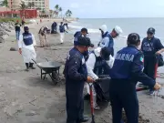 Golfo de México: Controlan contaminación por hidrocarburos tras intensa limpieza en playas