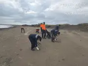 Grupo Interinstitucional intensifica acciones ante derrame de hidrocarburos en Golfo de México