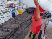 Guerra EU-Israel vs Irán amenaza con disparar precios de alimentos por crisis de fertilizantes