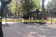 Hombre en situación de calle fallece en el icónico Parque México de la CDMX