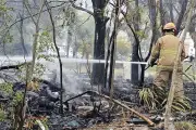 Incendio en baldío de Tejabán provoca evacuaciones y movilización de bomberos