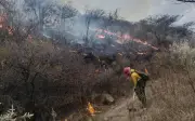 Incendio en Bosque La Primavera afecta más de 200 hectáreas; alerta atmosférica persiste