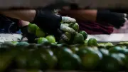Inflación en México repunta a 4.02% en febrero de 2026, con alimentos como limón y jitomate liderando alzas