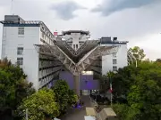 ISSSTE realiza vertebroplastia exitosa a adulta mayor con osteoporosis grave