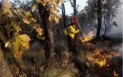Jalisco en alerta: Incendios forestales amenazan el Bosque La Primavera durante estiaje