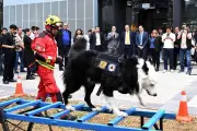 La UNAM incorpora perros entrenados para detectar riesgos en sus instalaciones