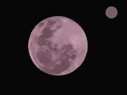 Luna Rosa de abril 2026: fecha, significado y cómo verla en México