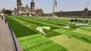 Maestros de la CNTE irrumpen en el Zócalo durante montaje de cancha para clase masiva de fútbol