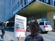 Marriott International incumple su compromiso global de huevo sin jaulas para 2025