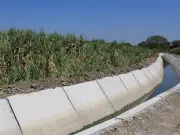 Morelos estrena riego por goteo en cultivos clave con inversión millonaria