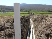 Morelos inicia riego por goteo en caña y maíz con inversión de 178 millones