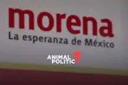 Morena lidera preferencias en Chihuahua para 2027, según encuesta de Animal Político