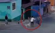 Mujer es atacada con machete en Puebla al defender perros callejeros; gobernador condena violencia
