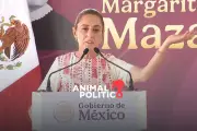 México abogará por la paz en Medio Oriente, afirma Sheinbaum ante conflicto EU-Israel-Irán