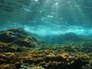 Nódulos polimetálicos: el tesoro abisal que despierta la codicia minera en el océano profundo