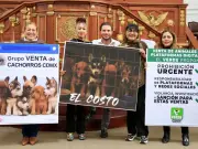 Partido Verde busca prohibir venta de perros y gatos en redes sociales en CDMX
