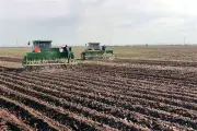Presidenta Envía al Senado Iniciativa para Fortalecer el Campo Mexicano