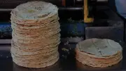 Profeco aclara que no puede multar por venta de tortillas en hieleras o motocicletas