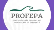 Profepa clausura 4 pozos en Cuatro Ciénegas por daños ambientales en ecosistema protegido
