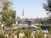 Puebla Reforesta con 2,200 Árboles: Mayor Proyecto Ambiental en 20 Años