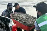 Recolectan 31 toneladas de hidrocarburo en el norte de Veracruz tras derrame