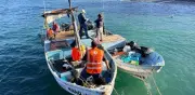 Semar asegura 502 kilos de pescado en operativo contra pesca irregular en Islas Marías